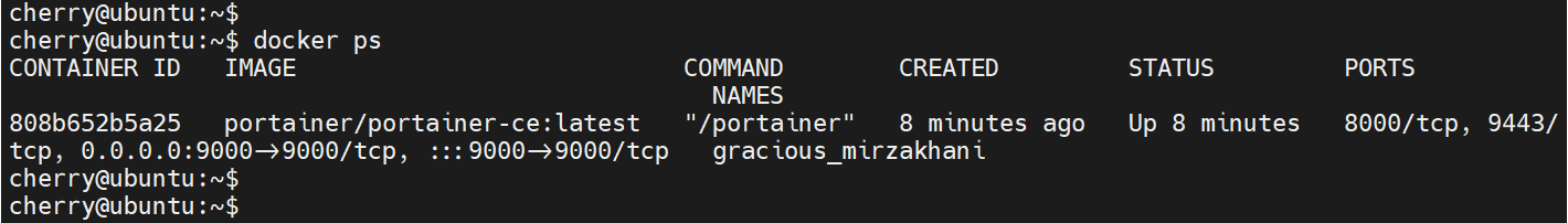 view-portainer-container-in-Docker