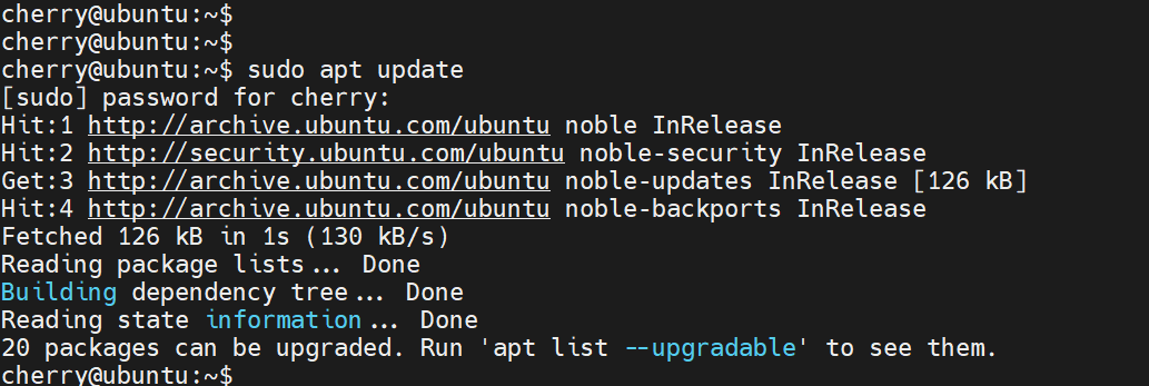 run-command-as-sudo-user-ubuntu