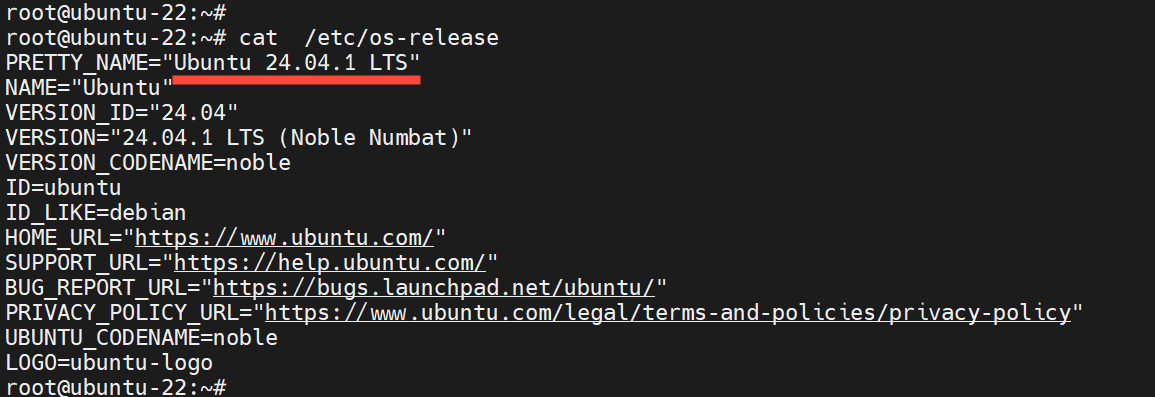 verify-ubuntu-24.04-version