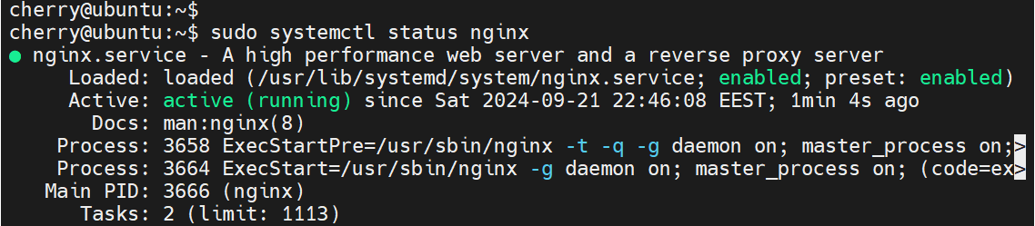 check-nginx-status