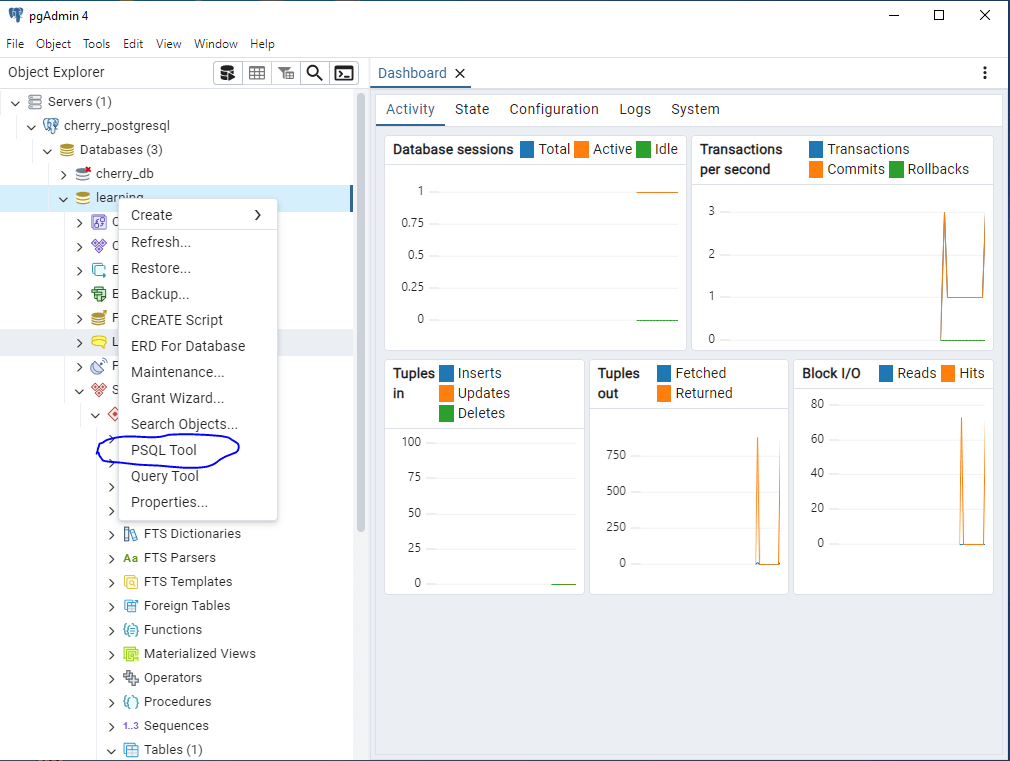 How to execute SQL queries on PostgreSQL through pgAdmin