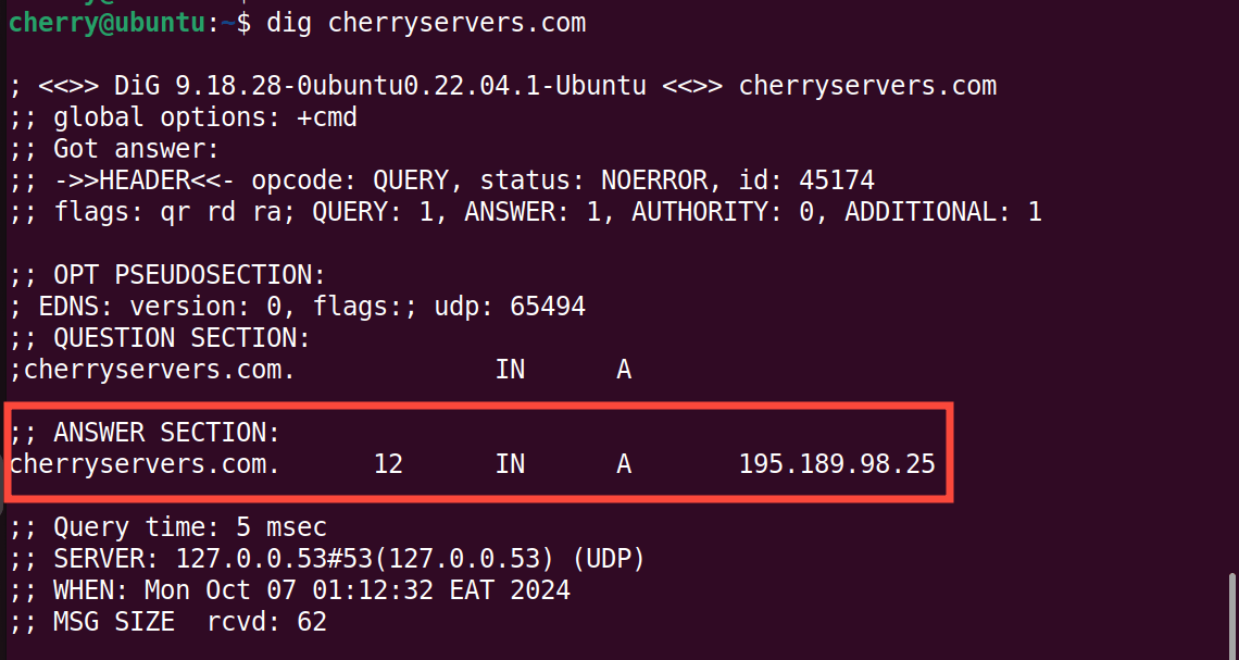 dig-command-domain-name