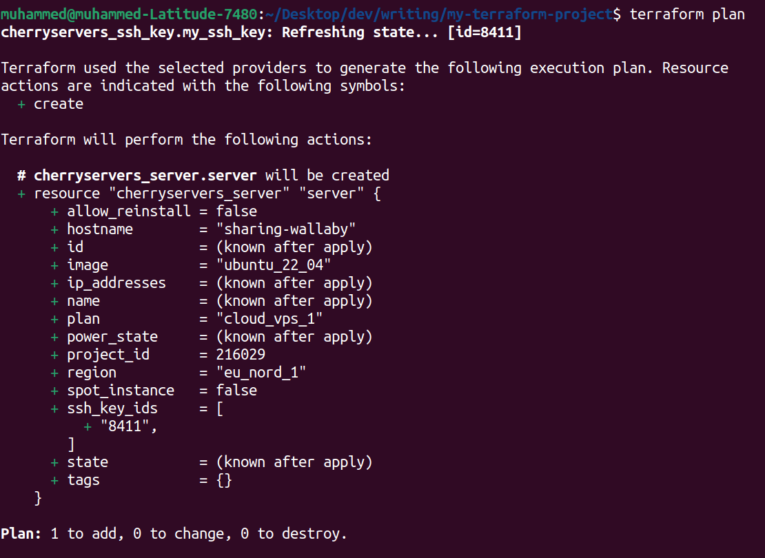 Terraform plan output