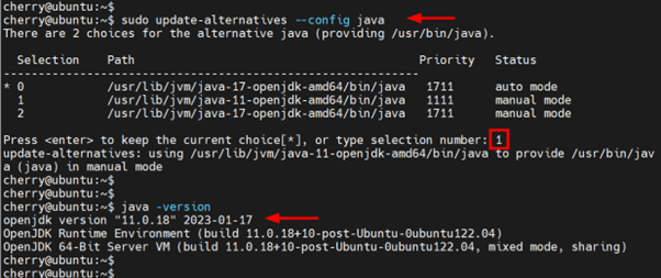 update-alternatives --config java