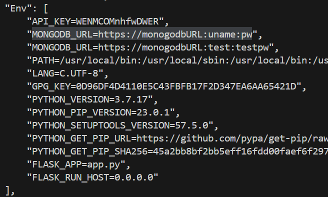 set docker container - env
