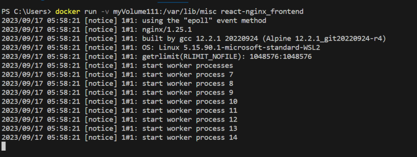 mount the named volume