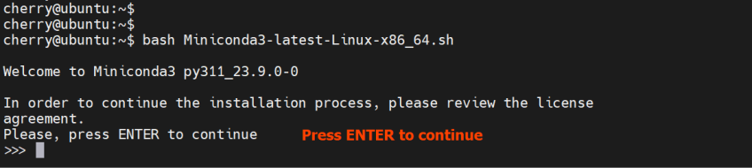 run-miniconda-script-ubuntu
