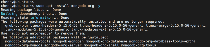 install-mongodb-server-ubuntu-22.04
