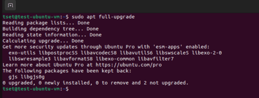 upgrade installed packages example