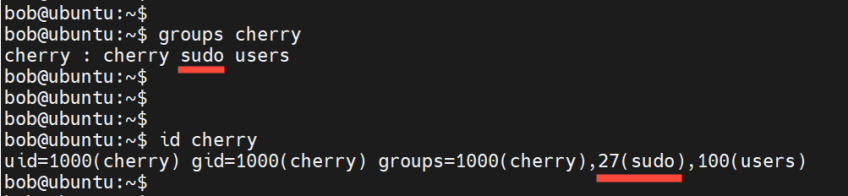 check-if-user-belongs-to-sudo-group-ubuntu