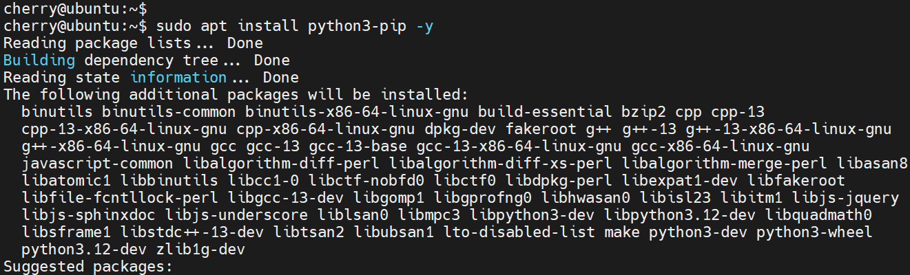 install-pip-ubuntu-24