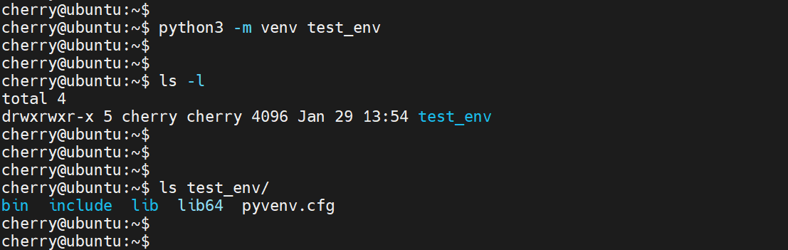 create-python-virtual-environment-ubuntu-24