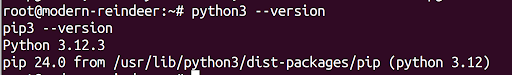 python version